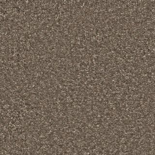 Maryland twist bruin 0600