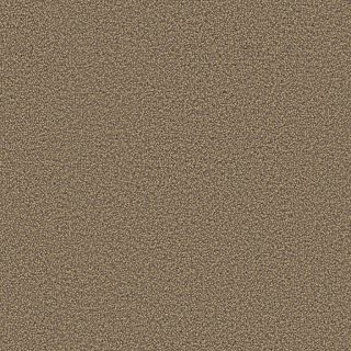 Traffic sahara 0420