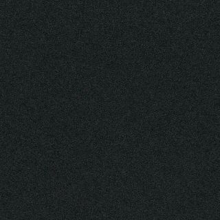 Entrance carbon 0246 | 200cm - incl. 2x2,5cm stootrand