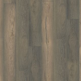 Saksen titan eiken