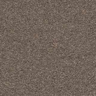 Miami taupe 0535