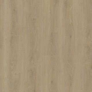 Robusto dryback beige