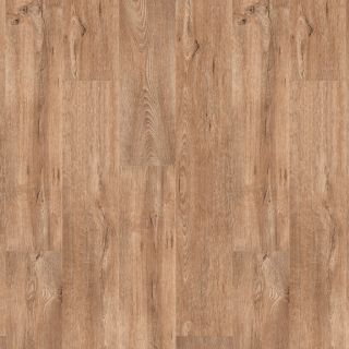 Calandro bruin 5011