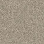 Attraction greige 0195