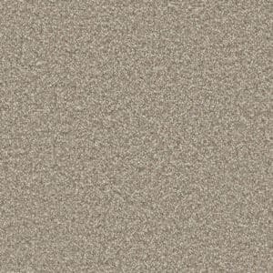 Attraction greige 0195