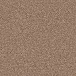 Attraction hazelnoot 0465