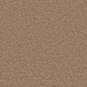 Attraction hazelnoot 0465