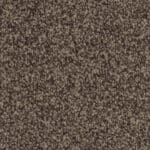 Attraction beigebruin 0485