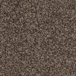 Attraction beigebruin 0485