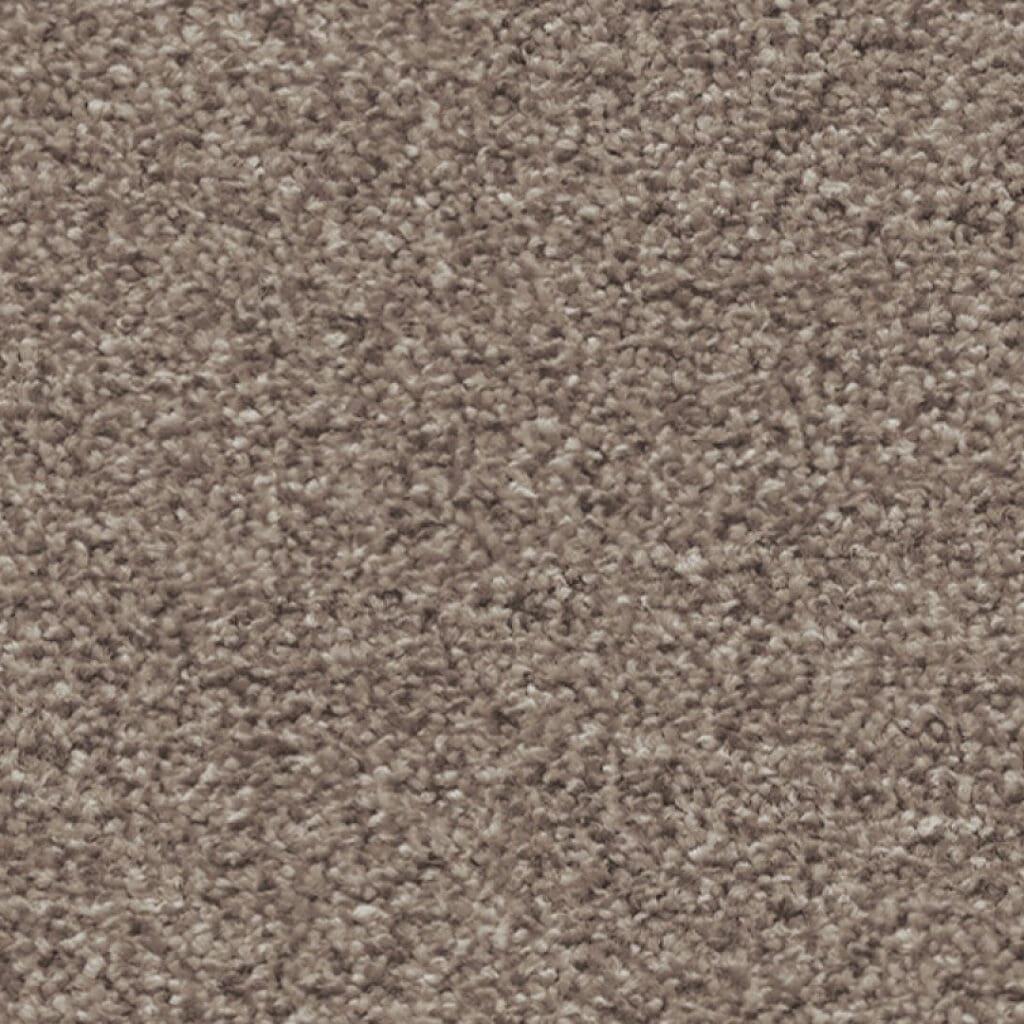 Attraction steppe 0495