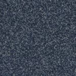 Attraction marine 0785