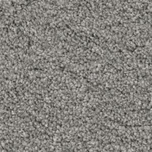 Baltimore zilver 0175