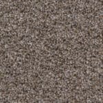 Baltimore hazelnoot 0465