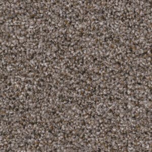 Baltimore hazelnoot 0465