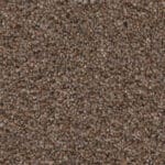 Baltimore kastanje 0620