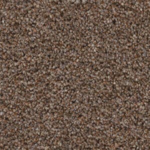 Baltimore kastanje 0620