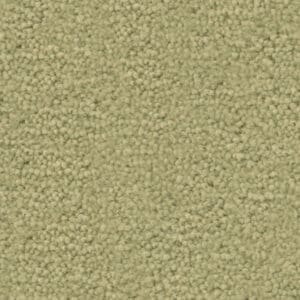 Charmant lentegroen 0964