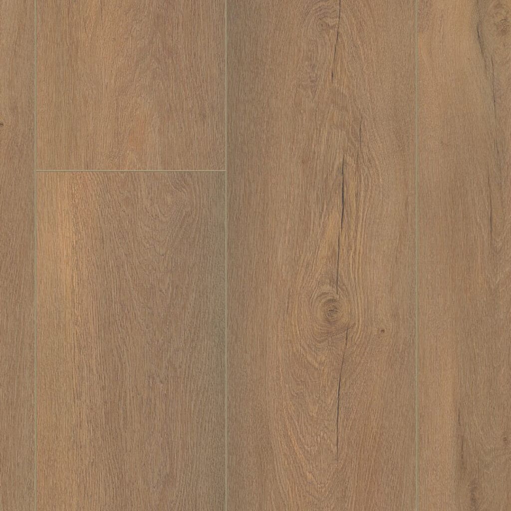 main_image_5038810719.jpg