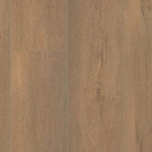 Saarland natuur eiken