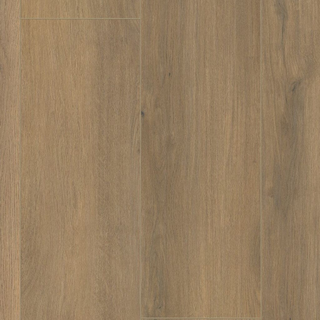main_image_5046896619.jpg