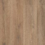 Sunny oak natuur eiken