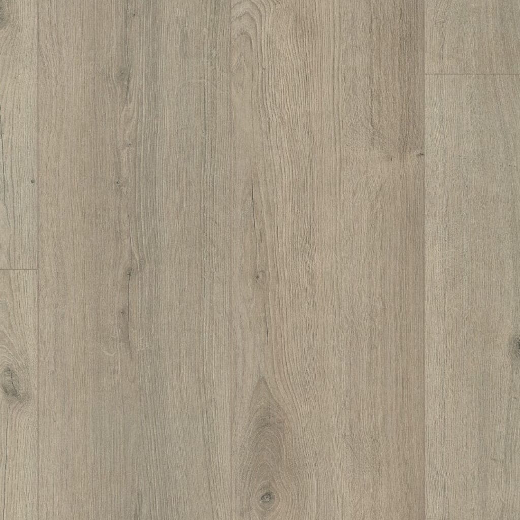 main_image_5525401919.jpg