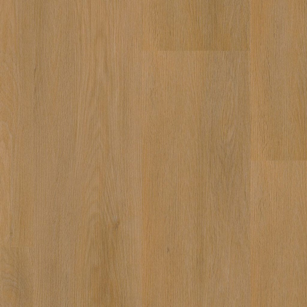 main_image_6011831019.jpg