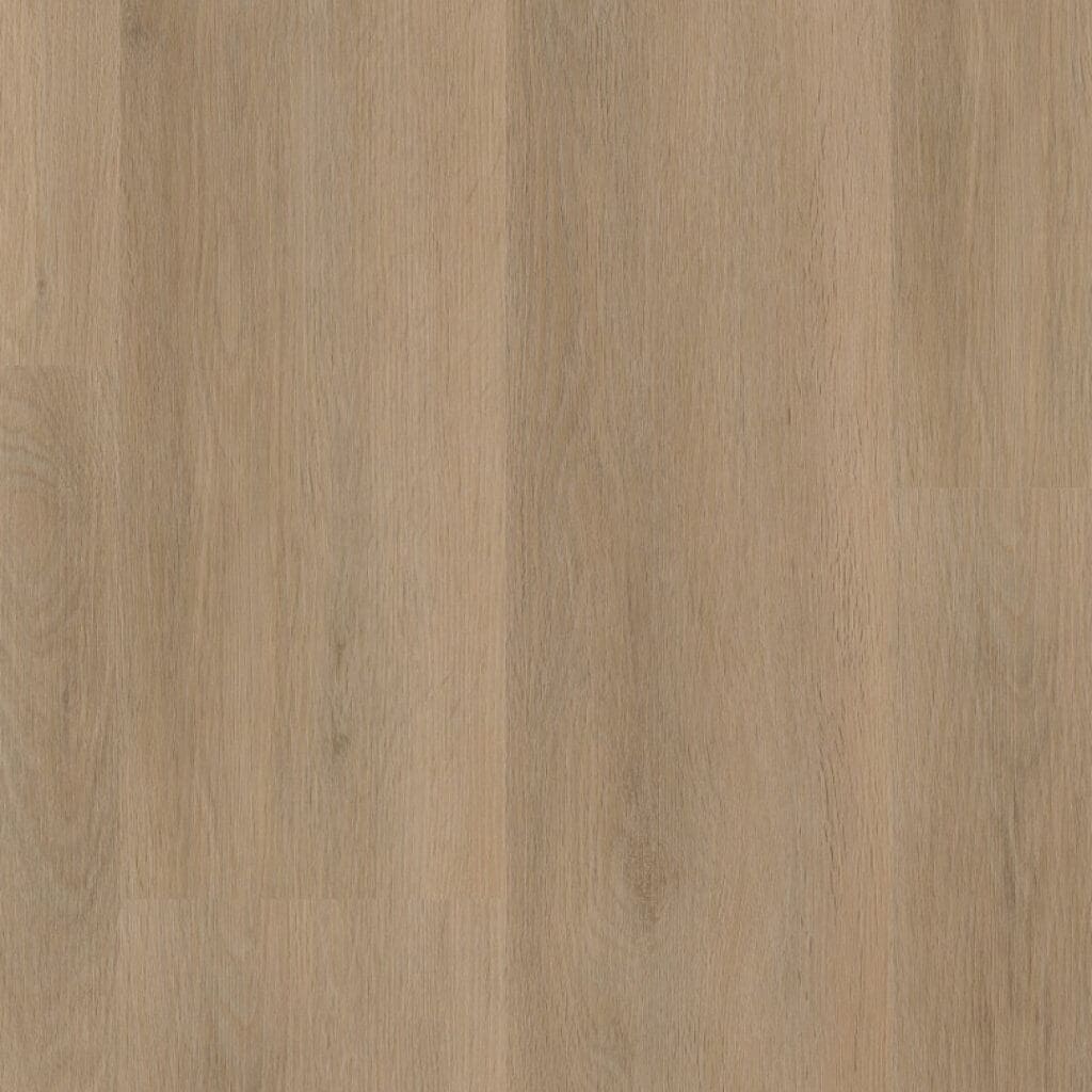 main_image_6011831119.jpg