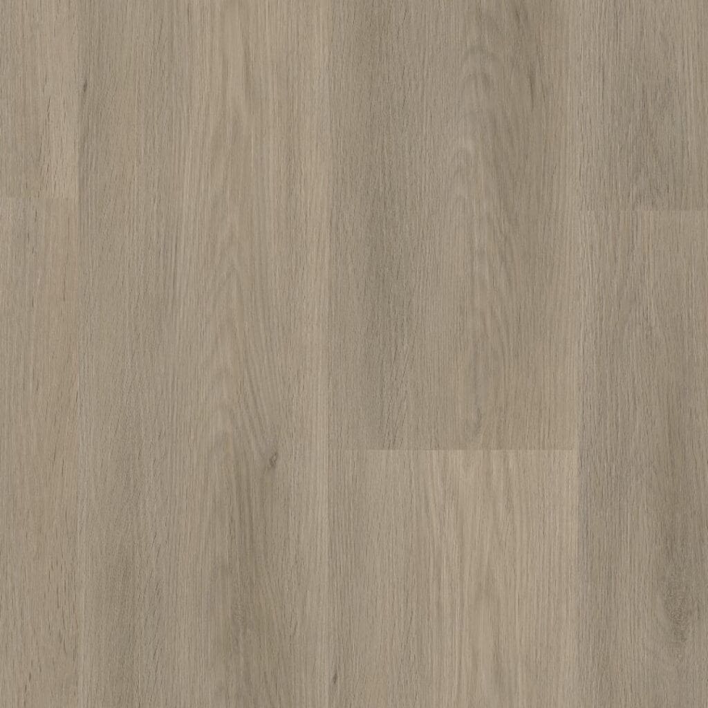 main_image_6011831219.jpg