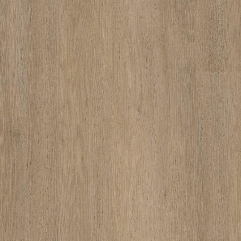 main_image_6011831319.jpg