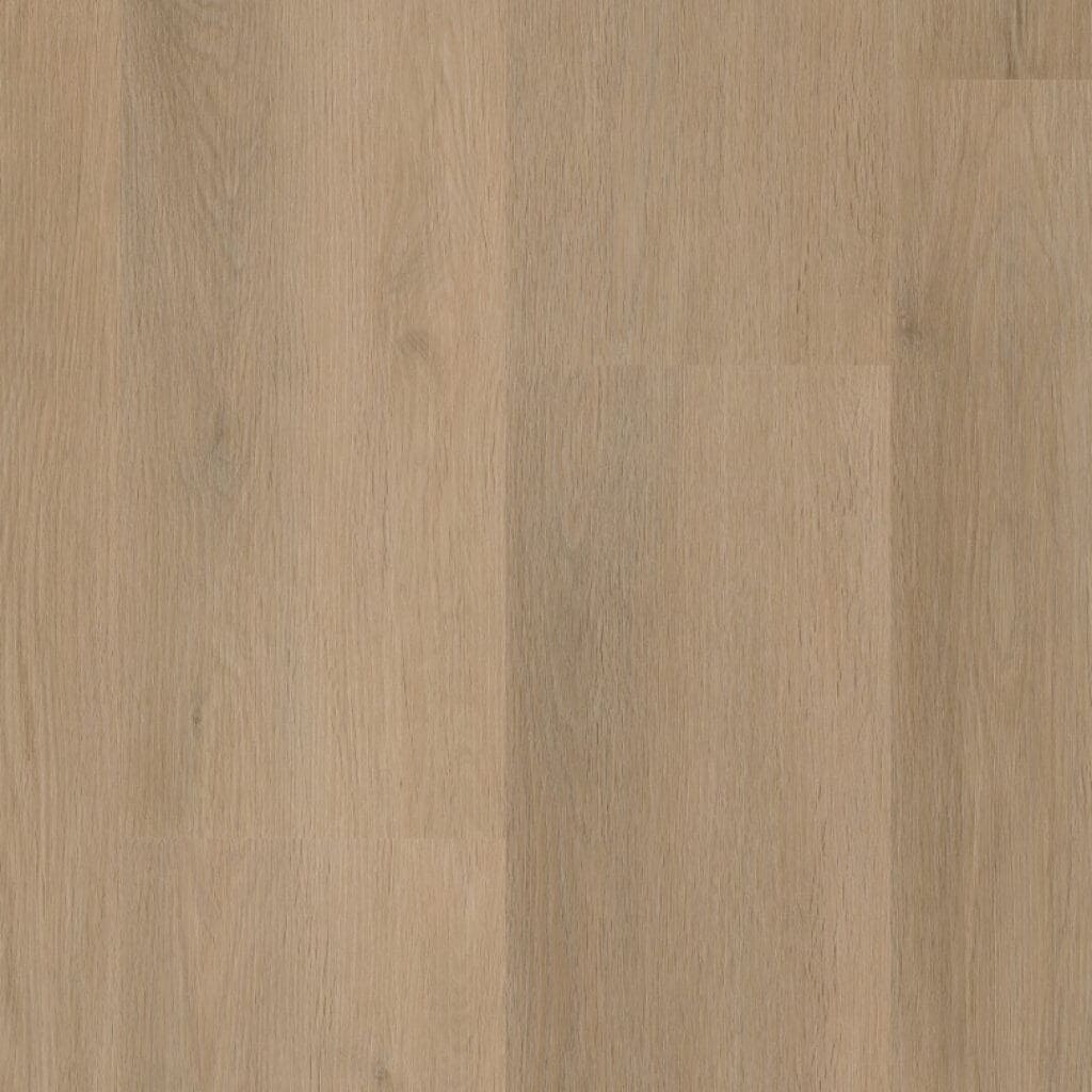 main_image_6012841119.jpg