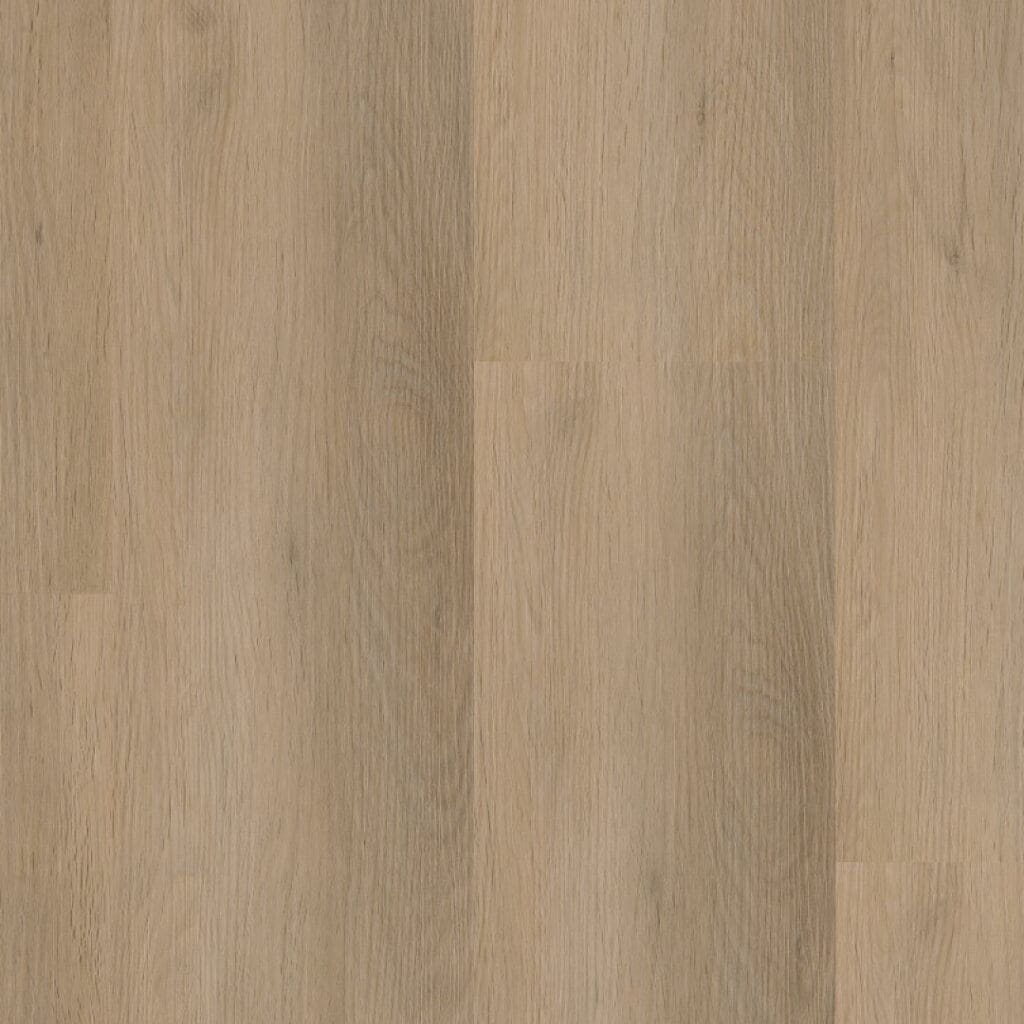 main_image_6012841319.jpg