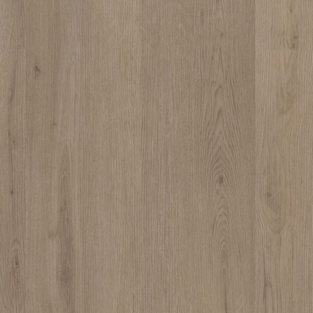 main_image_6311851019.jpg