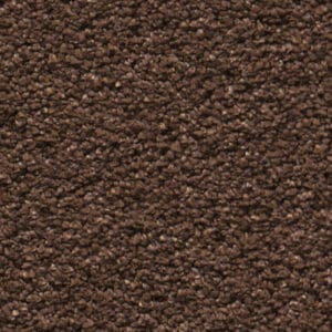 Magnifico bruin 0600