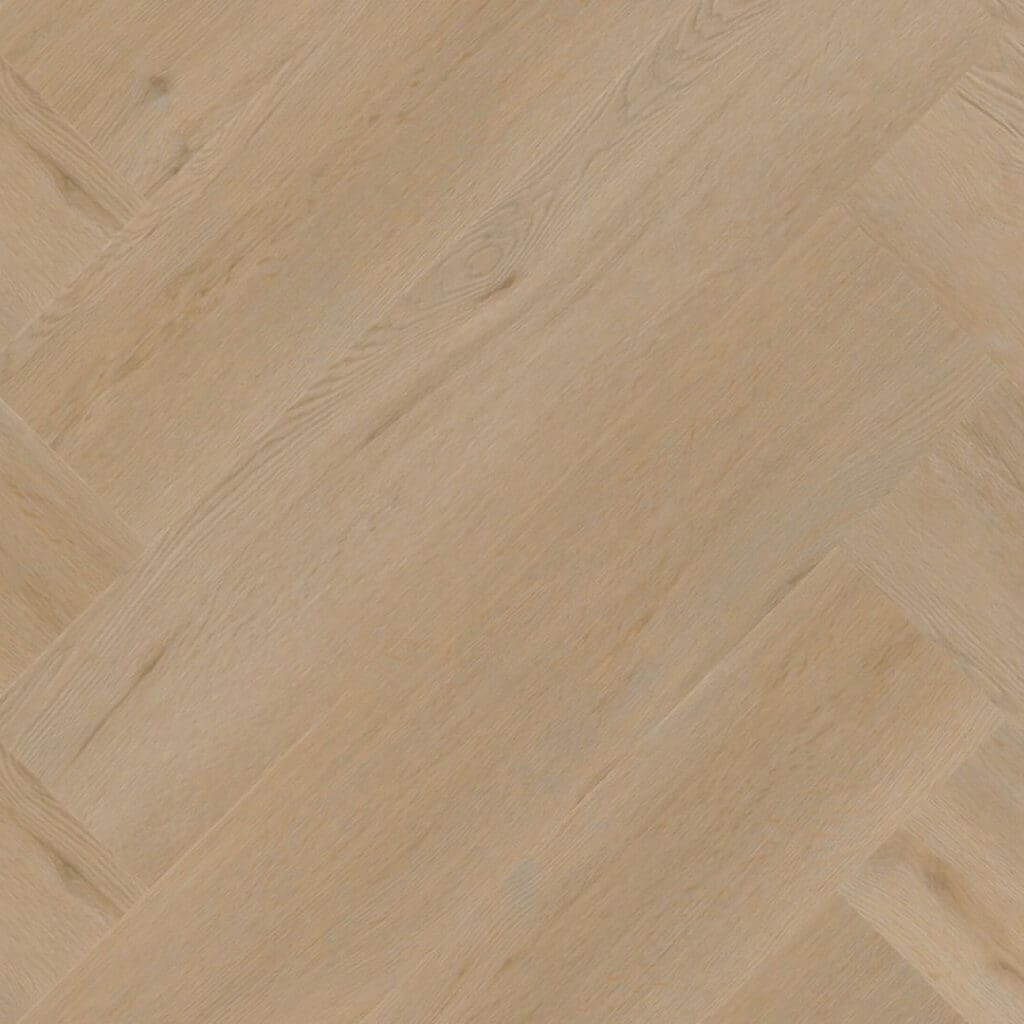 main_image_6412282419.jpg