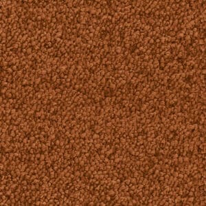 Louisville oranje 0300