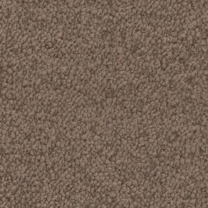 Louisville bruin 0600