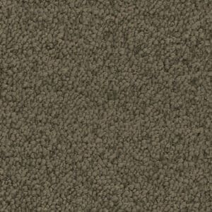 Louisville olijf 0912