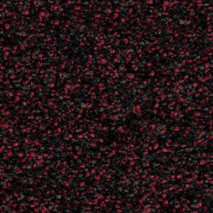 Minnesota zwartrood 0207