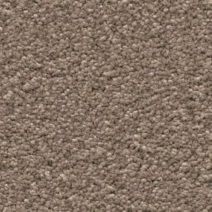 Newport lichtbruin 0602