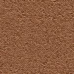 Charlotte oranje 0300