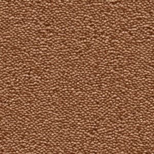 Charlotte oranje 0300