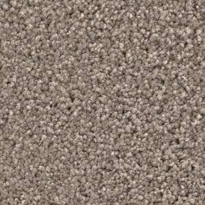 Newberry greige 0195