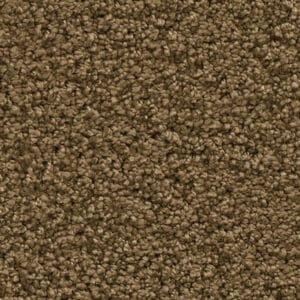 Newberry mosterd 0996