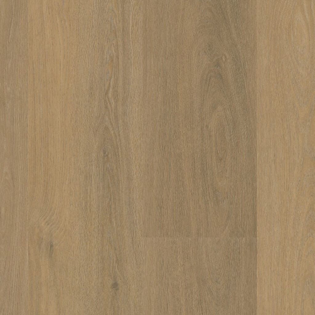 main_image_9040650319.jpg