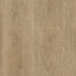 Robusto dryback naturel