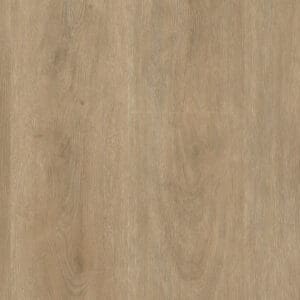 Robusto dryback naturel