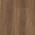 Robusto dryback warm brown