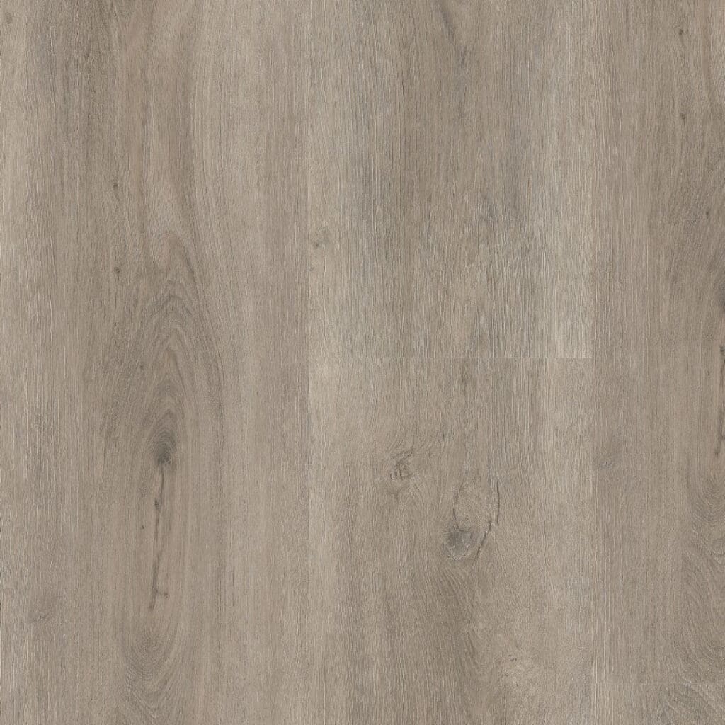 Robusto dryback light grey