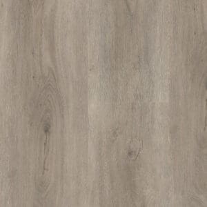 Robusto dryback light grey